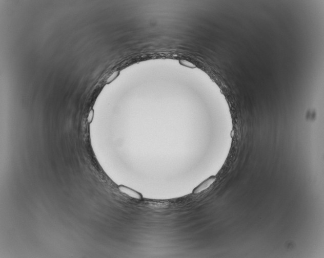 X0000110900709200907301607