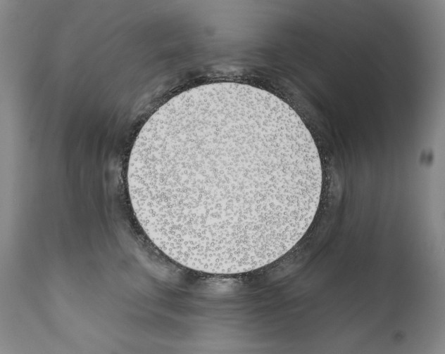 X0000110900711200907301607