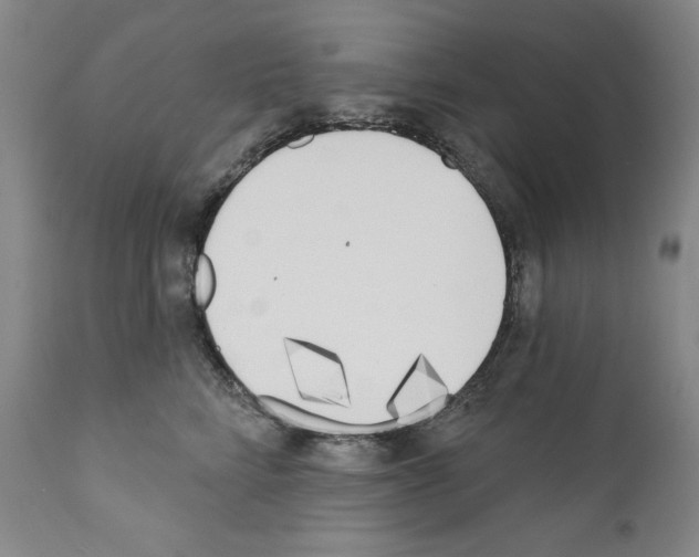 X0000110900712200907301606