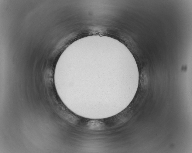 X0000110900714200907301606