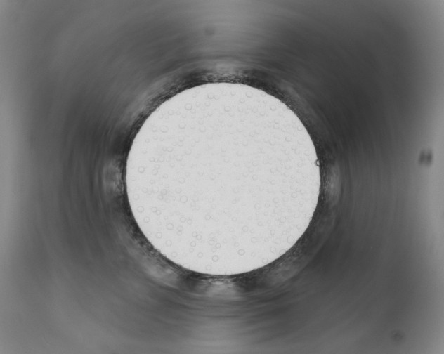 X0000110900715200907301606