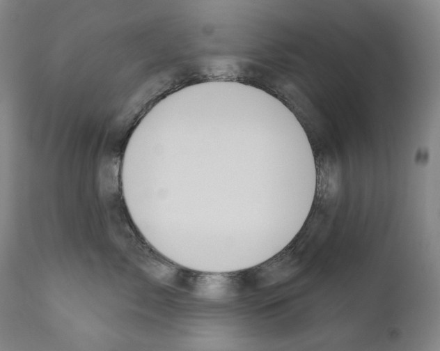 X0000110900717200907301606