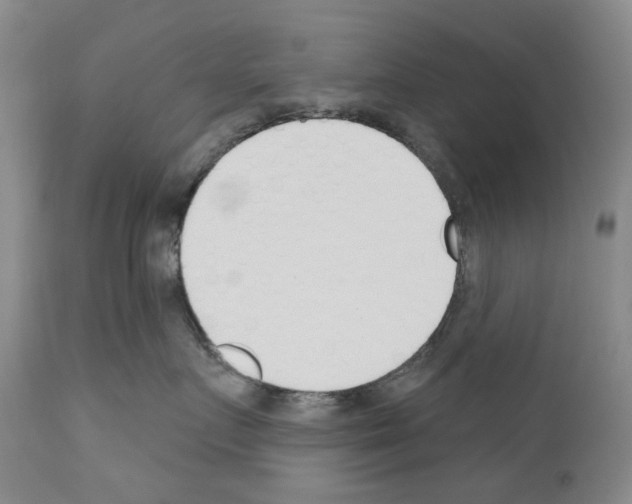 X0000110900719200907301606