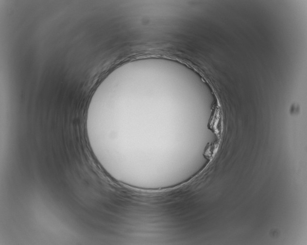 X0000110900720200907301606