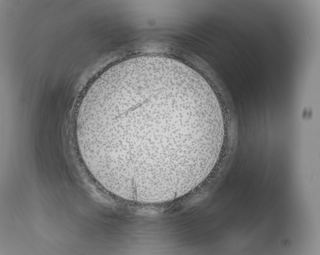 X0000110900721200907301606