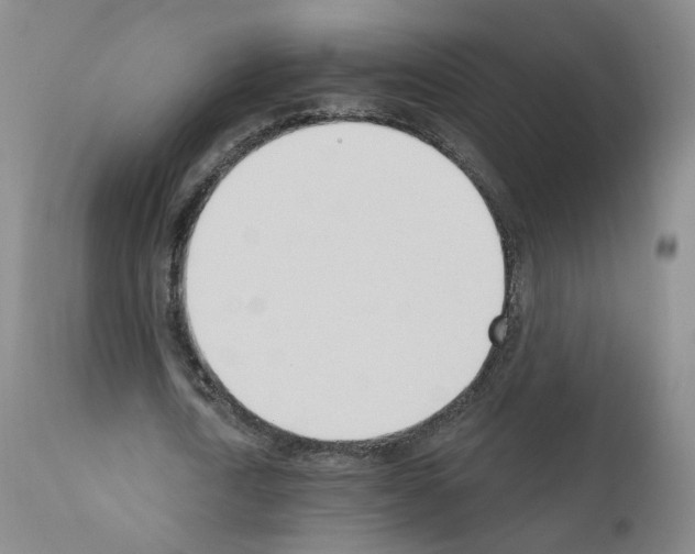 X0000110900722200907301606