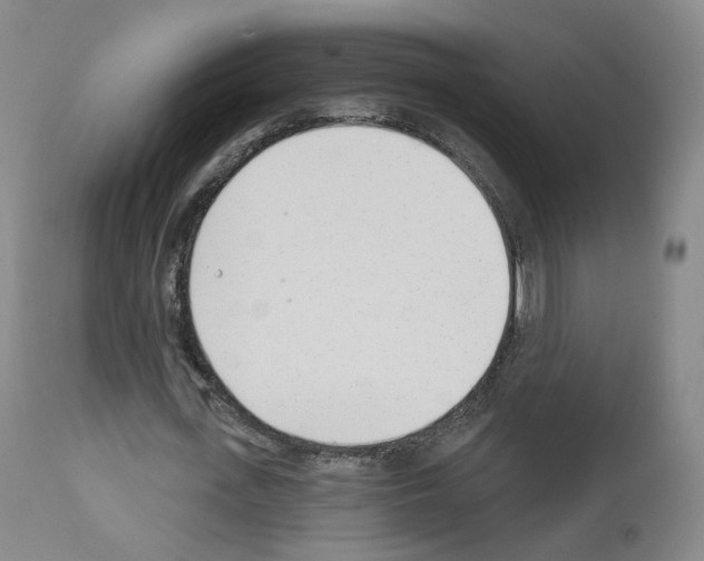 X0000110900723200907301606