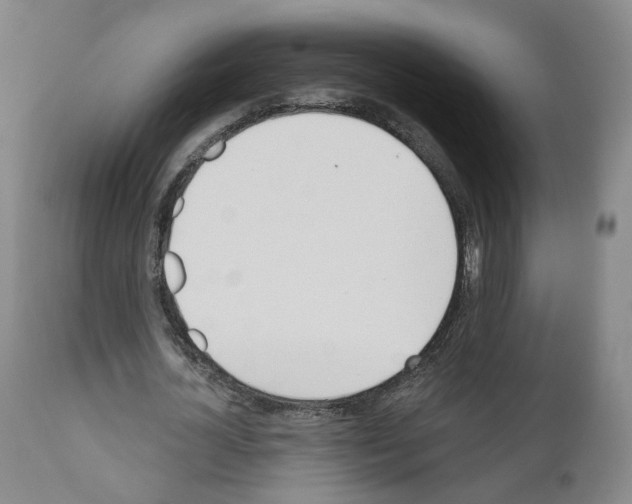 X0000110900724200907301606