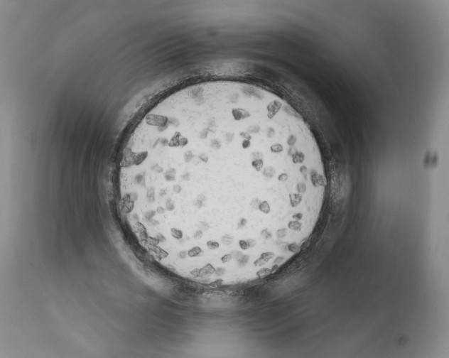 X0000110900725200907301606