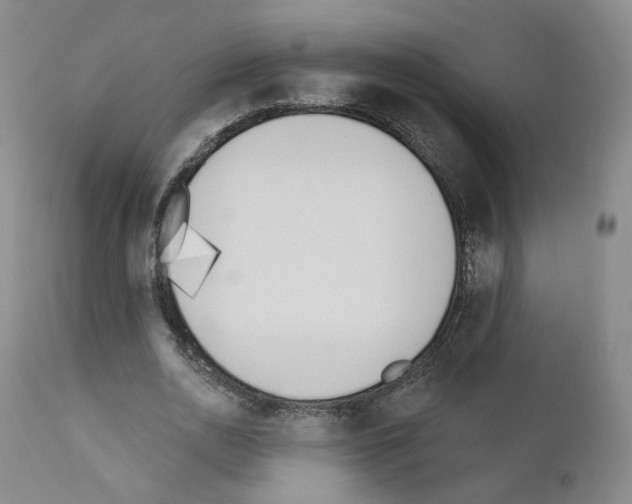 X0000110900726200907301606