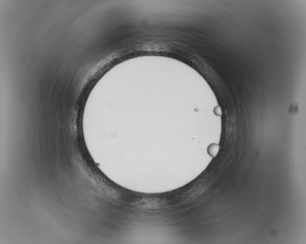 X0000110900727200907301606