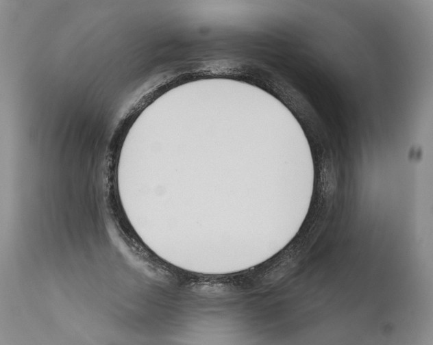 X0000110900730200907301606