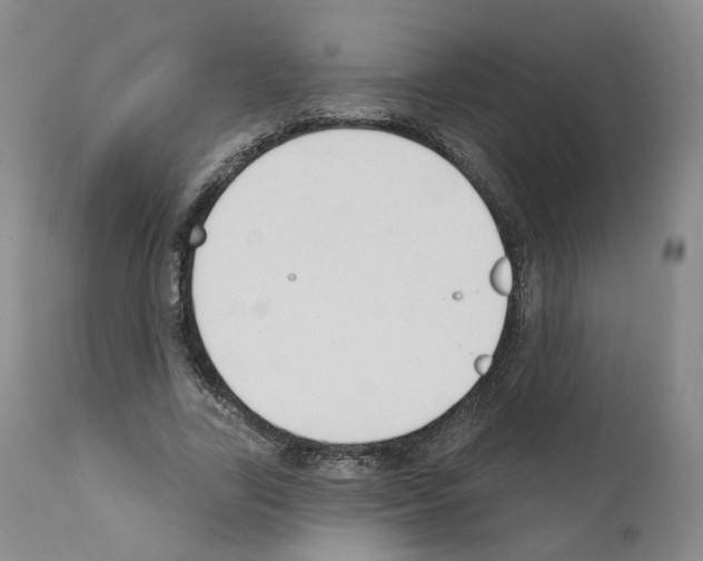 X0000110900731200907301606