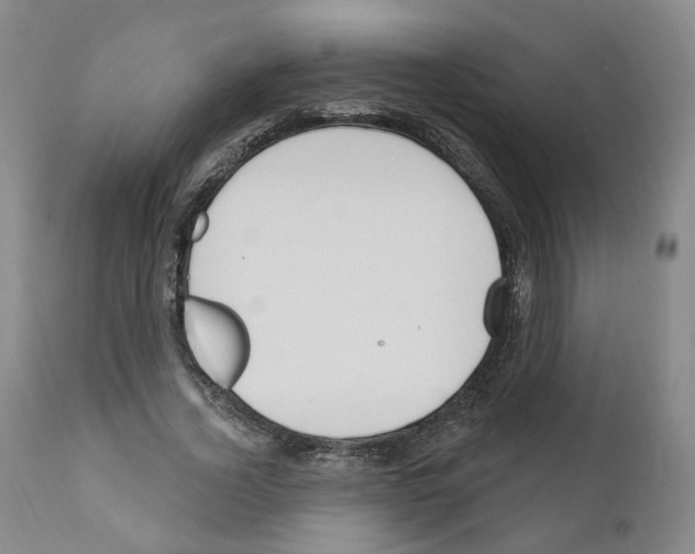 X0000110900732200907301606