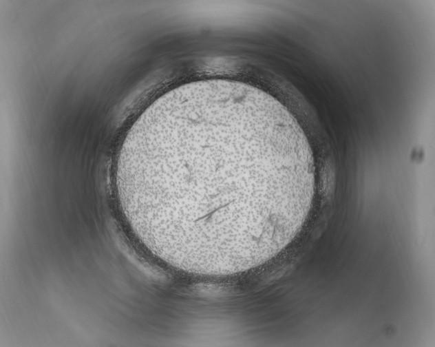 X0000110900733200907301606