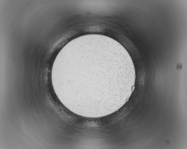 X0000110900735200907301606