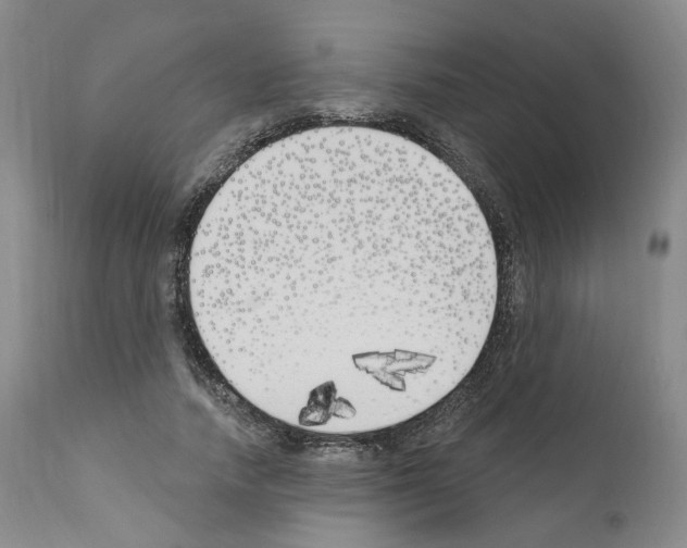 X0000110900738200907301606