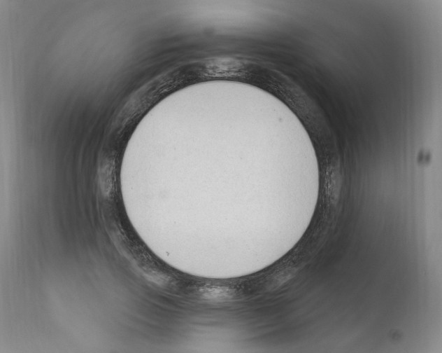 X0000110900741200907301606