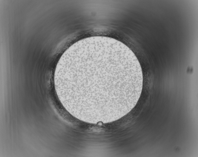 X0000110900742200907301606