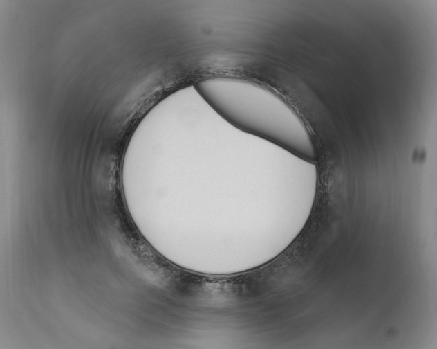 X0000110900744200907301606