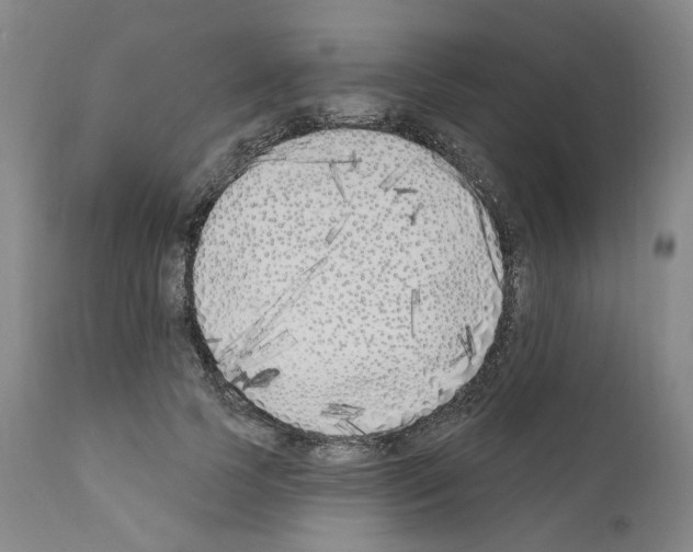 X0000110900745200907301606