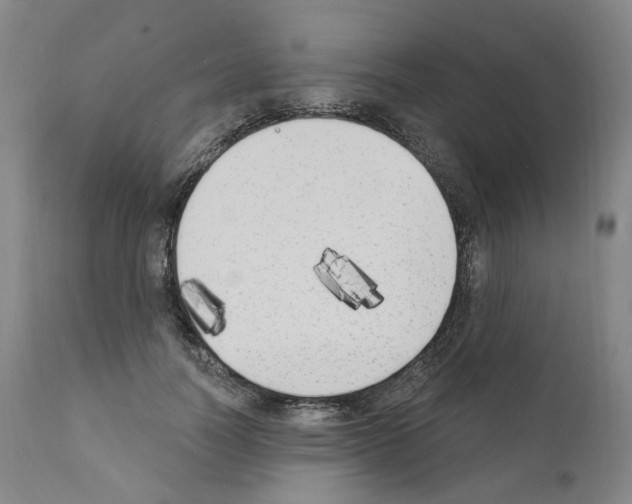 X0000110900746200907301606