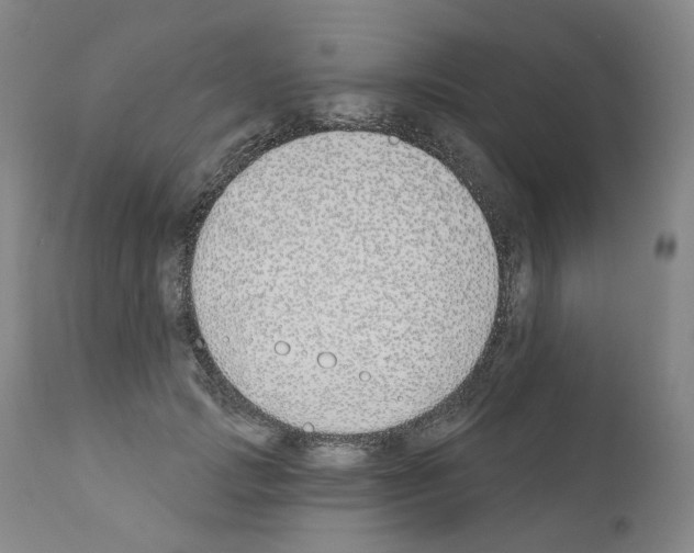 X0000110900749200907301606