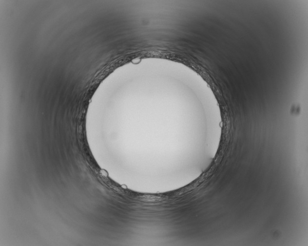 X0000110900750200907301606