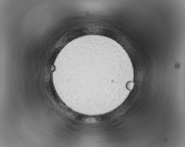 X0000110900751200907301606