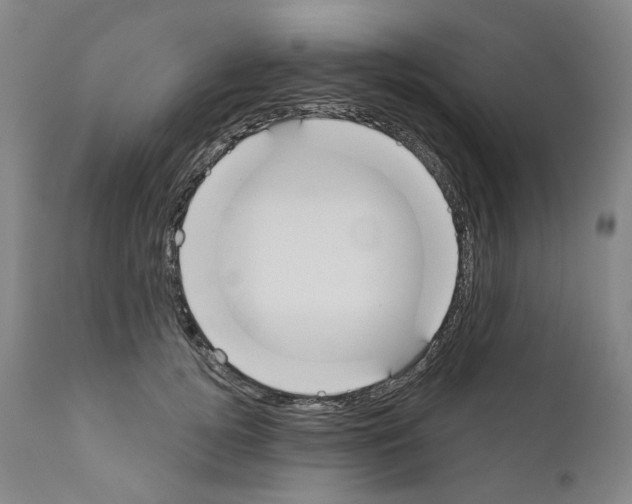 X0000110900752200907301606