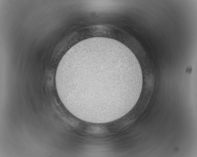 X0000110900753200907301606