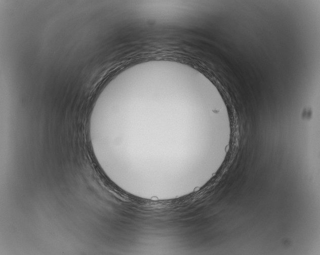 X0000110900756200907301606