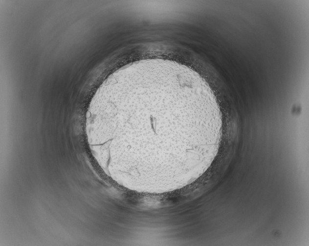 X0000110900757200907301606