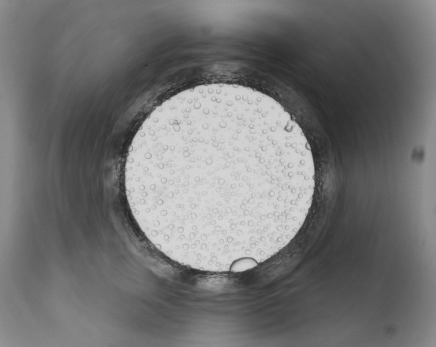 X0000110900759200907301606