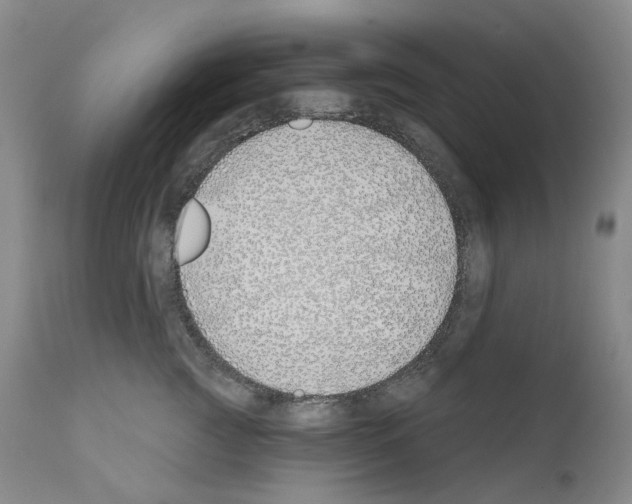 X0000110900761200907301606