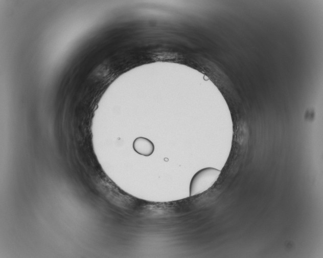 X0000110900763200907301606