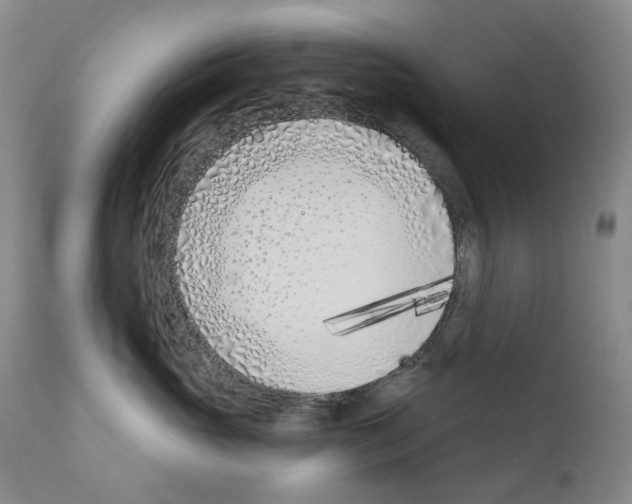 X0000110900765200907301606