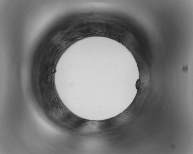 X0000110900766200907301606