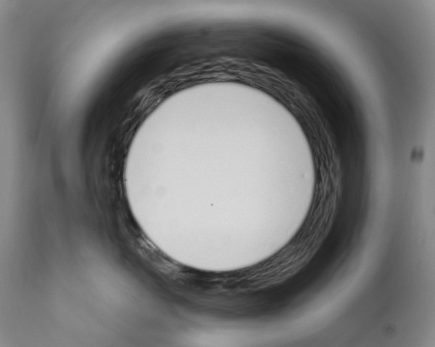 X0000110900767200907301606