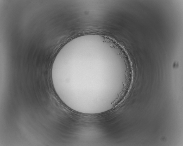 X0000110900768200907301606