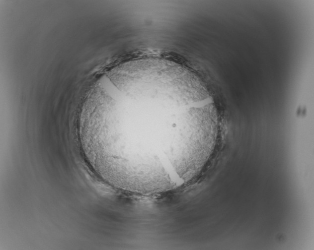 X0000110900769200907301606