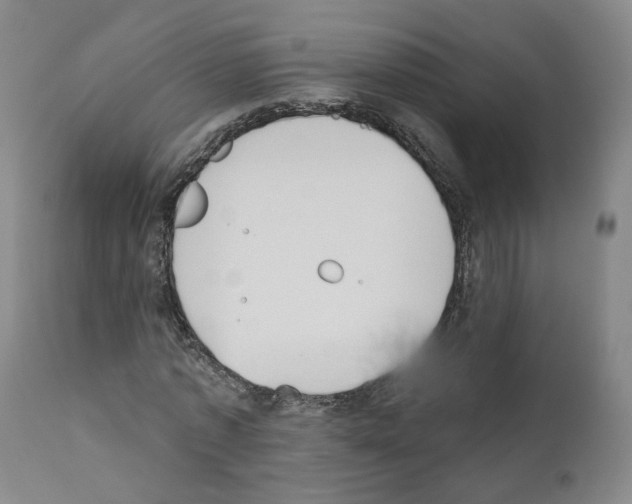 X0000110900773200907301606