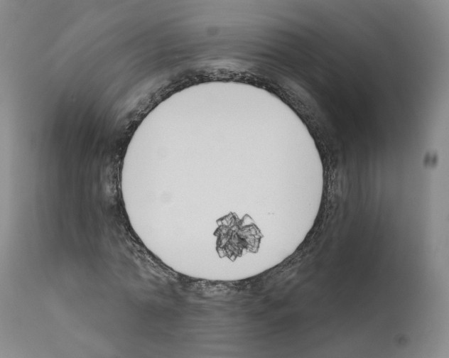 X0000110900774200907301606