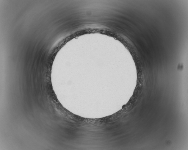 X0000110900775200907301606