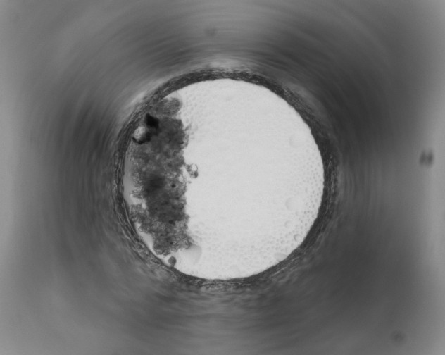 X0000110900776200907301606