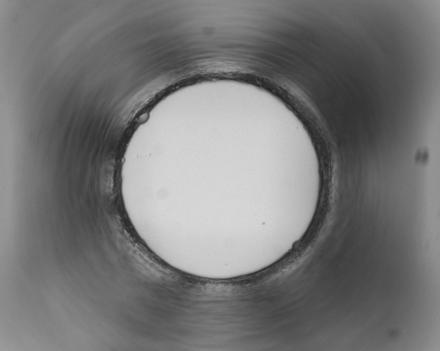 X0000110900777200907301605