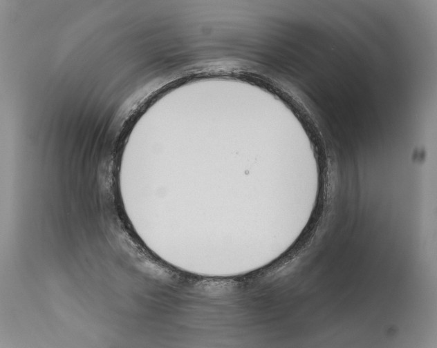 X0000110900778200907301605