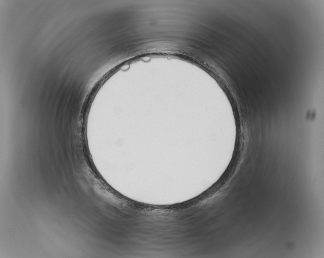 X0000110900779200907301605