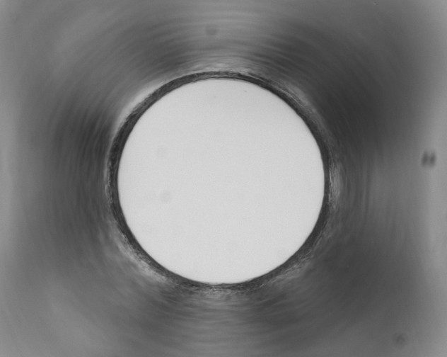 X0000110900780200907301605