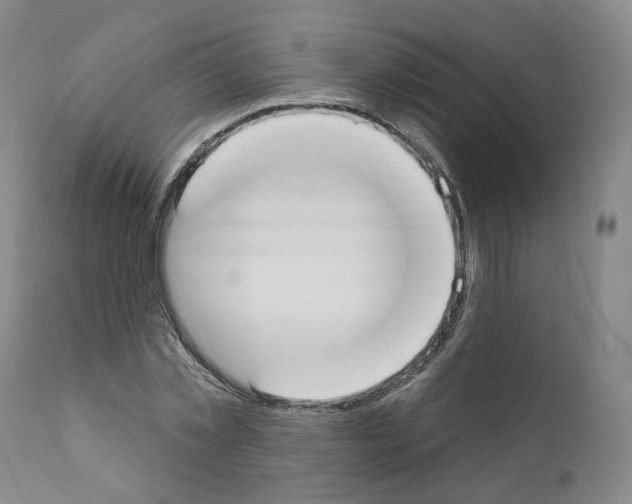 X0000110900781200907301605